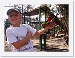 At the Zoo (22) * 1024 x 768 * (172KB)